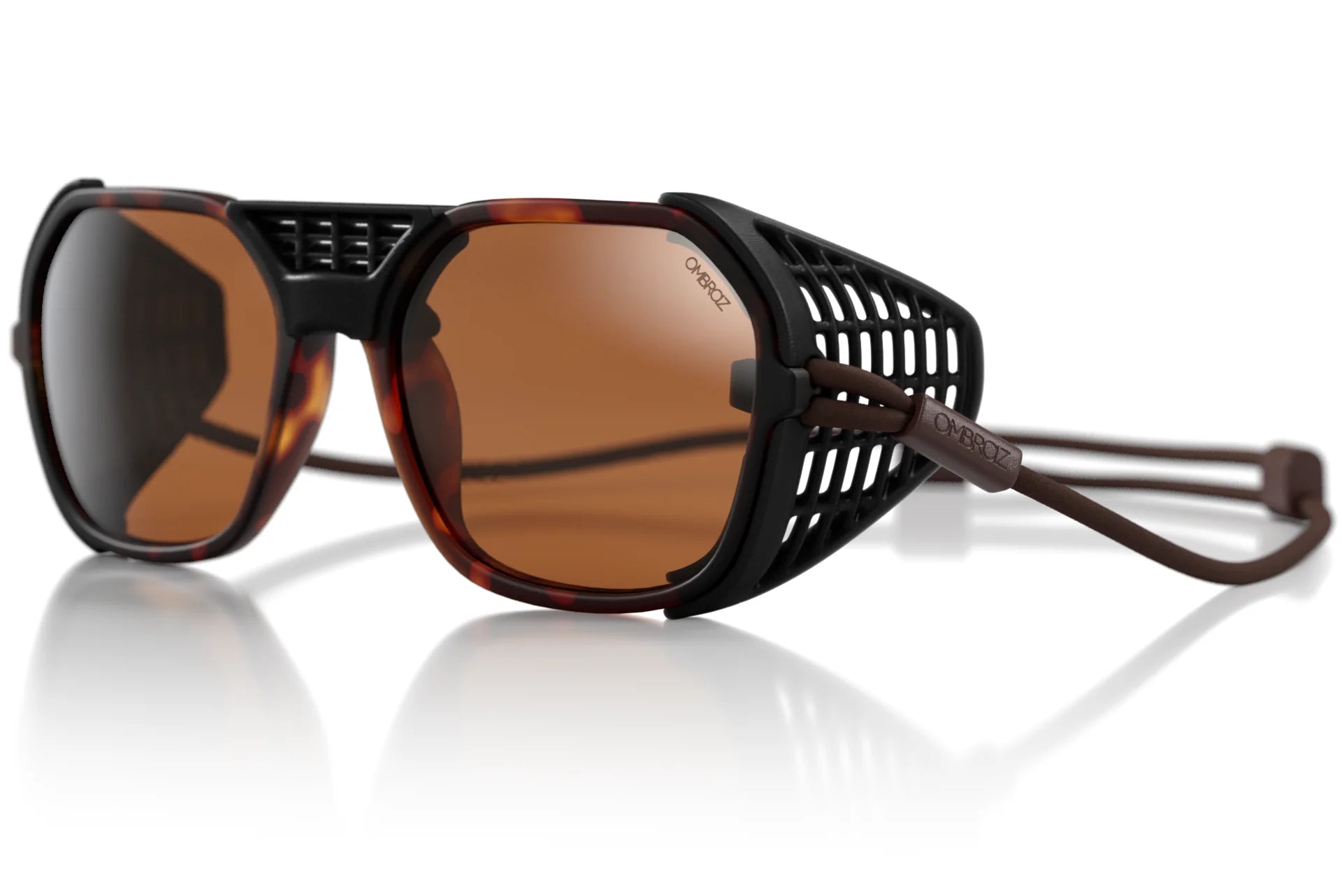 Tortoise_brown_shields 