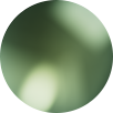 Polarized Grey ,  Green Mirror