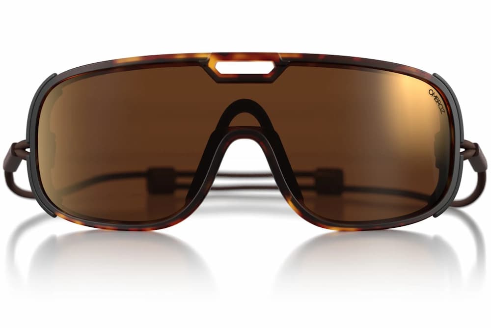 Tortoise_brown_with_bronzemirror_shields
