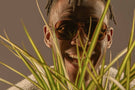 ember_brown Man behind a plant sporting Ombraz leggero ember brown armless sunglasses with cord